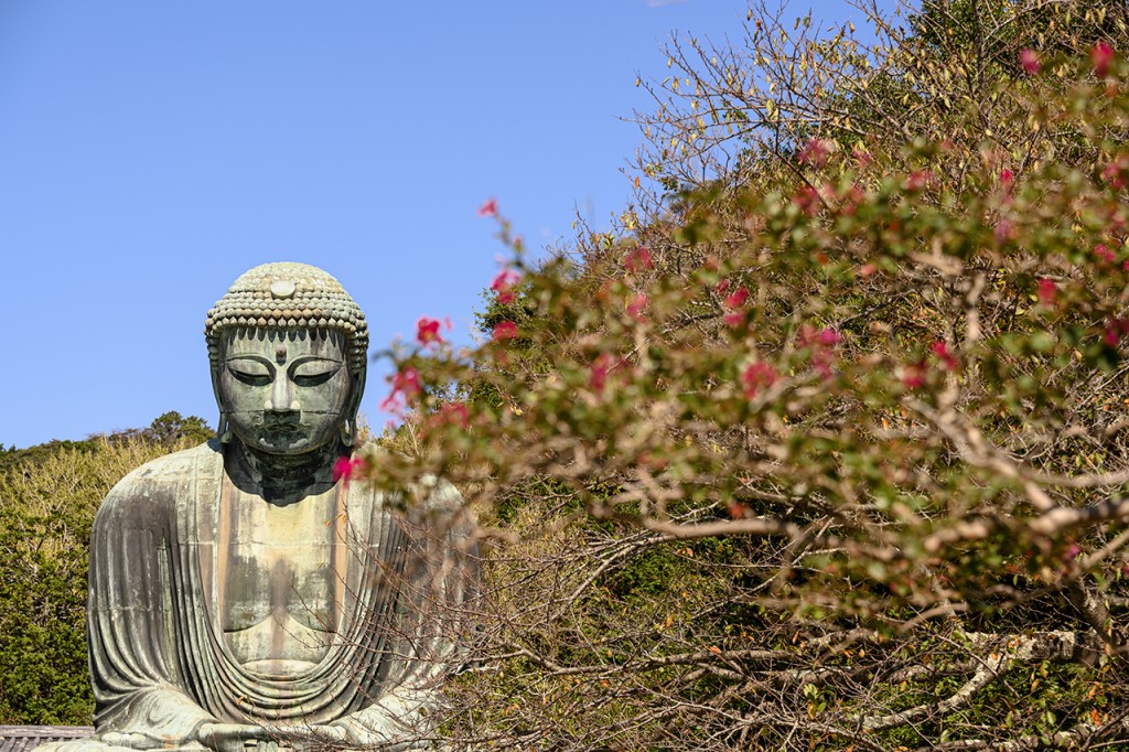 The great buddha of Kamakura