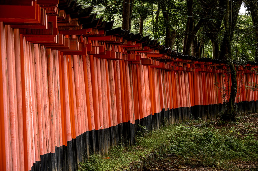 Kyoto, the gates of the Fushimi-Inari temple complex #1