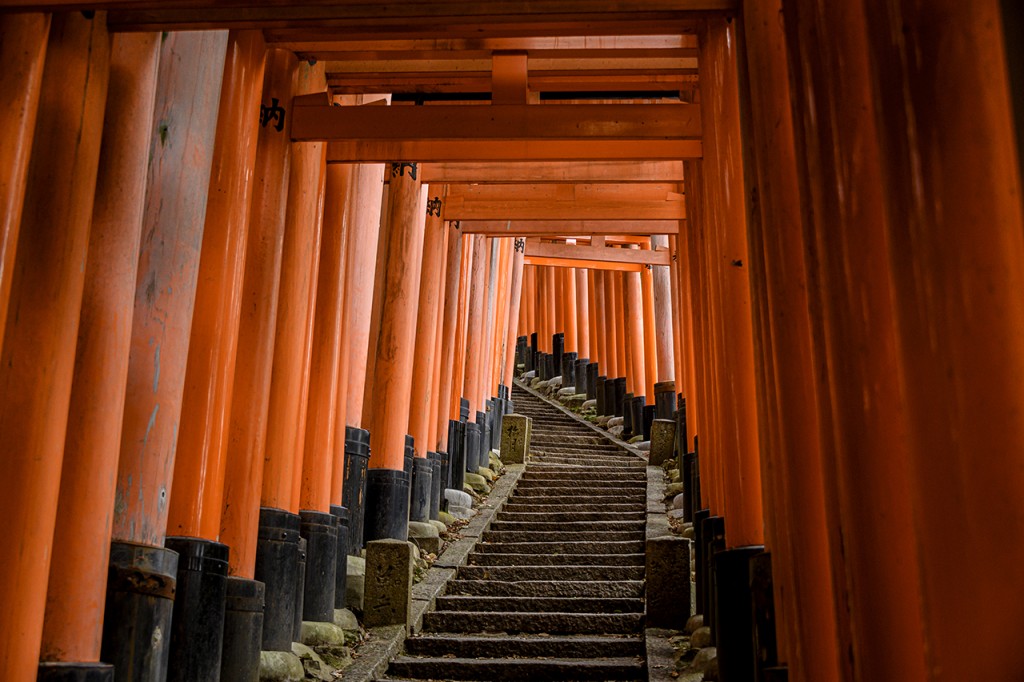 Kyoto, the gates of the Fushimi-Inari temple complex #3